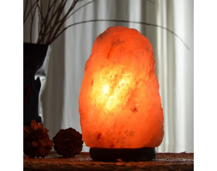 ZEN'ARME Lampe en Cristal de Sel d'Himalaya - 4  6 kg (1)
