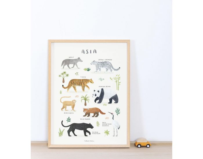 LILIPINSO Affiche Seule - Living Earth - Animaux d'Asie  (2)