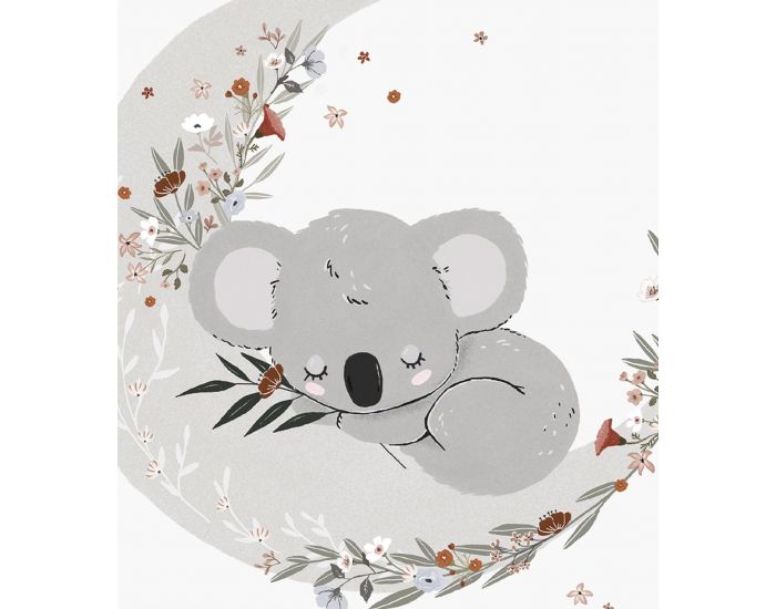 LILIPINSO Affiche Seule - Lilydale - Koala Endormi  (1)