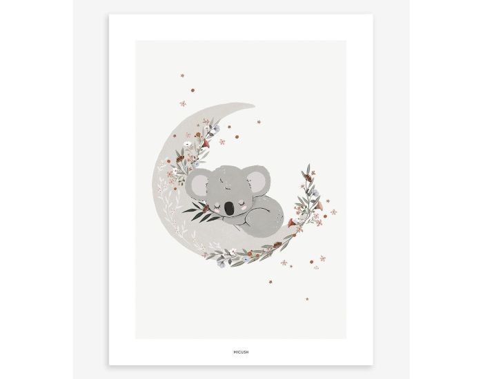 LILIPINSO Affiche Seule - Lilydale - Koala Endormi  (7)