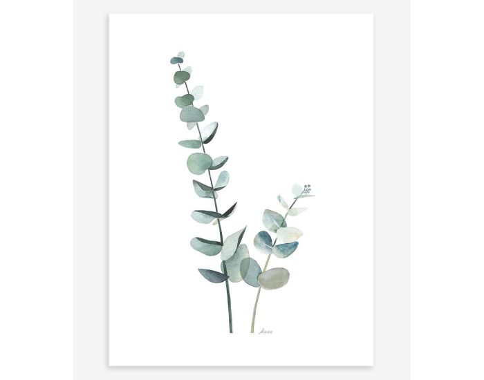 LILIPINSO Affiche Seule - Greenery - Tiges d'Eucalyptus  (4)