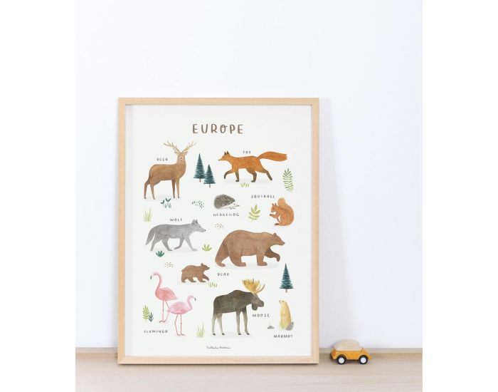 LILIPINSO Affiche Seule - Living Earth - Animaux d'Europe  (2)