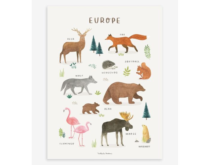 LILIPINSO Affiche Seule - Living Earth - Animaux d'Europe  (4)