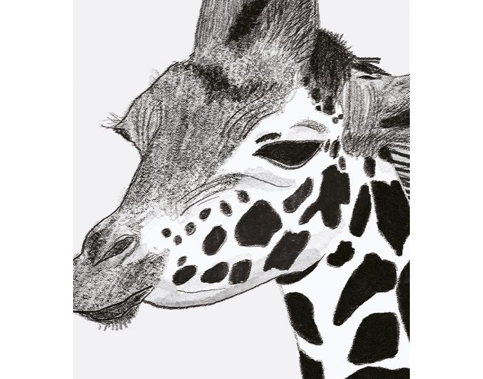 LILIPINSO - Affiche Seule - la Girafe - Serengeti (1)
