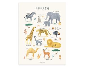 LILIPINSO Affiche Seule - Living Earth - Animaux d'Afrique 
