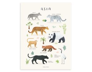 LILIPINSO Affiche Seule - Living Earth - Animaux d'Asie 