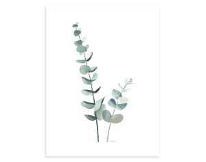 LILIPINSO Affiche Seule - Greenery - Tiges d'Eucalyptus 