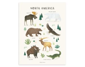 LILIPINSO Affiche Seule - Living Earth - Animaux Amrqiue du Nord 