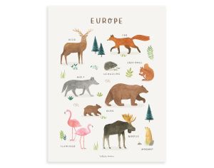 LILIPINSO Affiche Seule - Living Earth - Animaux d'Europe 