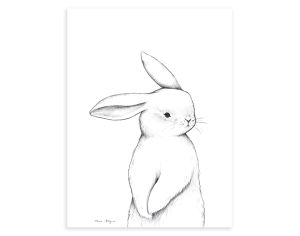 LILIPINSO Affiche Seule - Bunny - Lapin de Face 