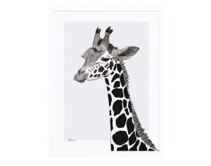 LILIPINSO - Affiche Seule - la Girafe - Serengeti