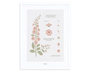 LILIPINSO - Affiche Seule - Rose Trmire - Wildflowers