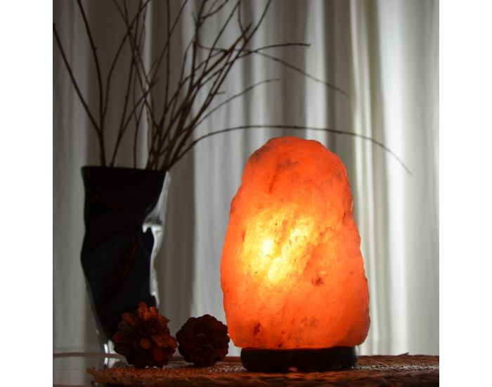 ZEN'ARME Lampe en Cristal de Sel d'Himalaya de 2  3 kg (1)