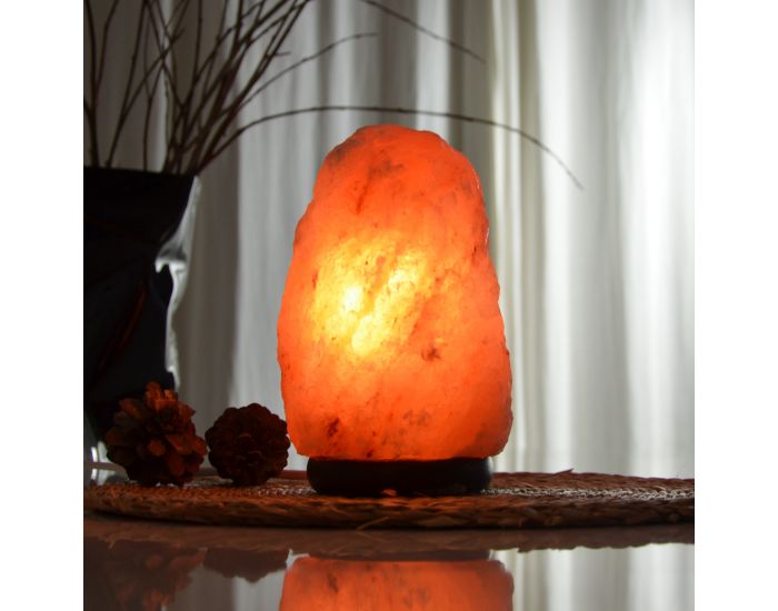 ZEN'ARME Lampe en Cristal de Sel d'Himalaya de 2  3 kg (4)