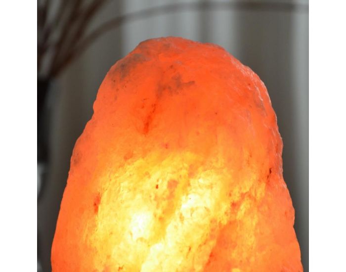 ZEN'ARME Lampe en Cristal de Sel d'Himalaya - 4  6 kg (3)