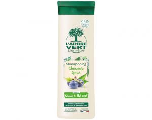 L'ARBRE VERT BIEN-TRE Shampooing Detox - Cheveux Gras - 250 ml